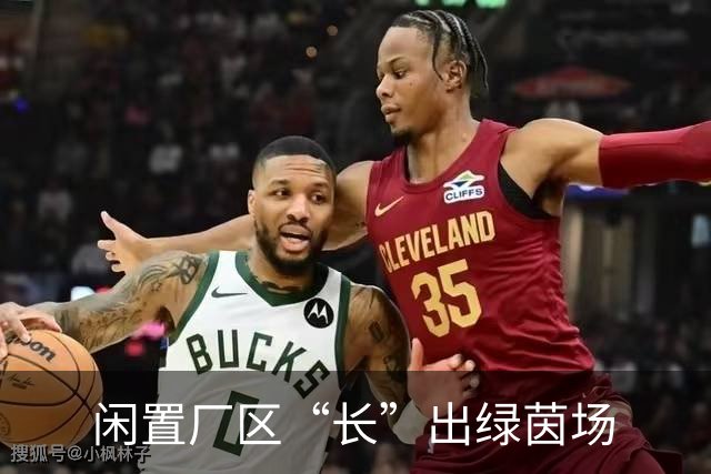 闲置厂区“长”出绿茵场